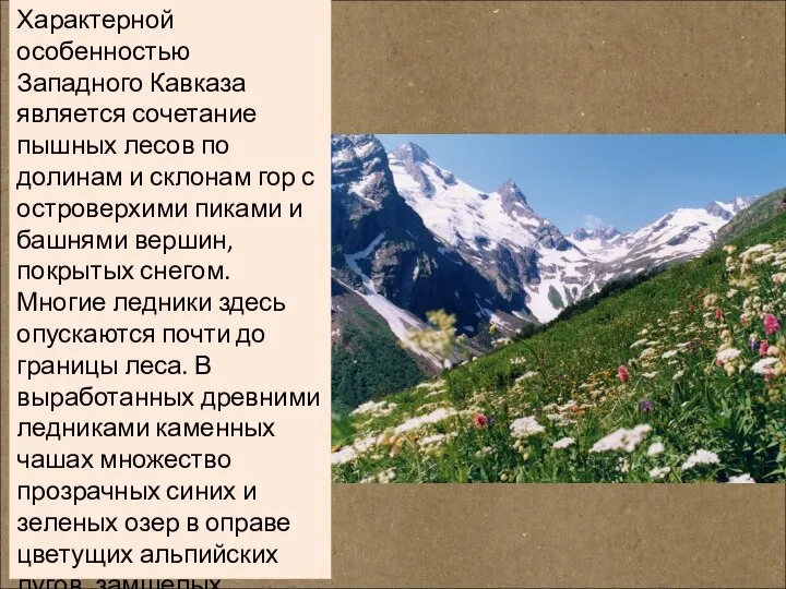 Характерной особенностью Западного Кавказа является сочетание пышных лесов по долинам и