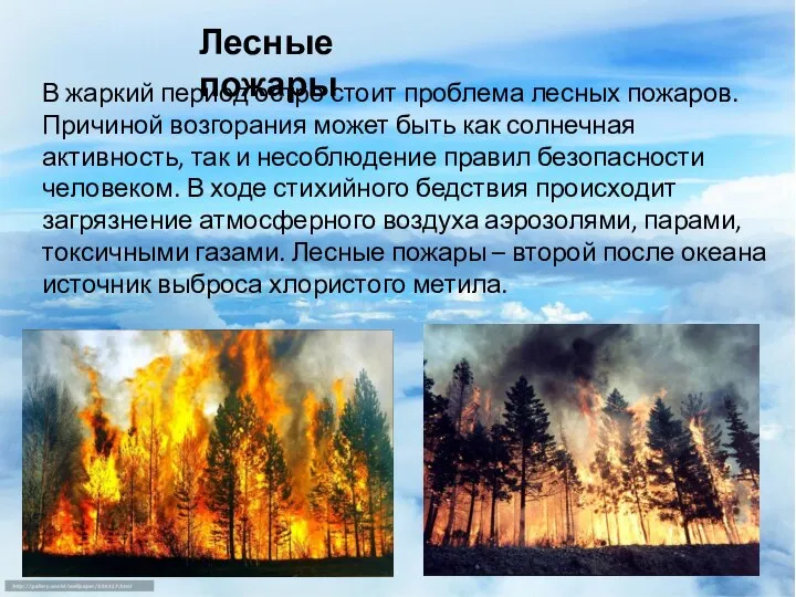 В жаркий период остро стоит проблема лесных пожаров. Причиной возгорания может