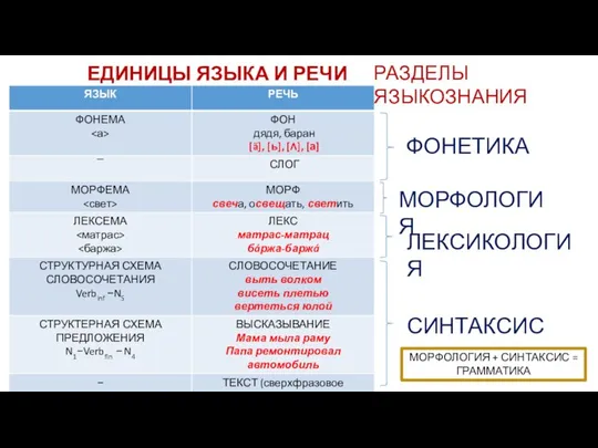 ЕДИНИЦЫ ЯЗЫКА И РЕЧИ РАЗДЕЛЫ ЯЗЫКОЗНАНИЯ ФОНЕТИКА МОРФОЛОГИЯ ЛЕКСИКОЛОГИЯ СИНТАКСИС МОРФОЛОГИЯ + СИНТАКСИС = ГРАММАТИКА