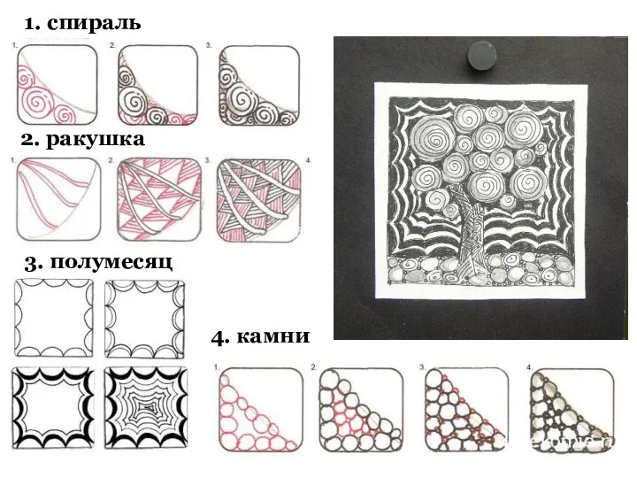 1. спираль 2. ракушка 3. полумесяц 4. камни