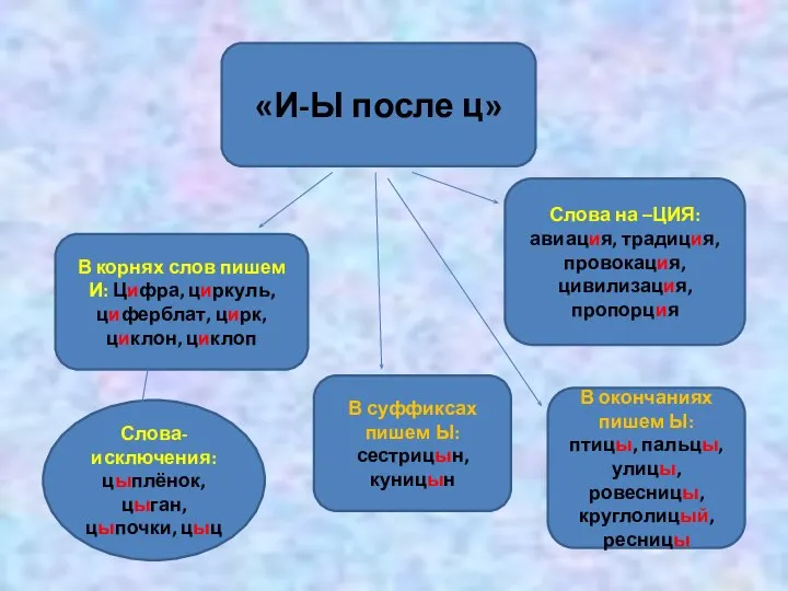 «И-Ы после ц» В корнях слов пишем И: Цифра, циркуль, циферблат,