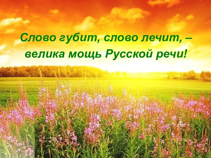 Слово губит, слово лечит, – велика мощь Русской речи!