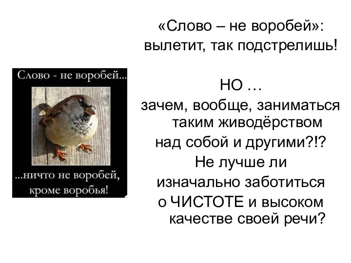 «Слово – не воробей»: вылетит, так подстрелишь! НО … зачем, вообще,