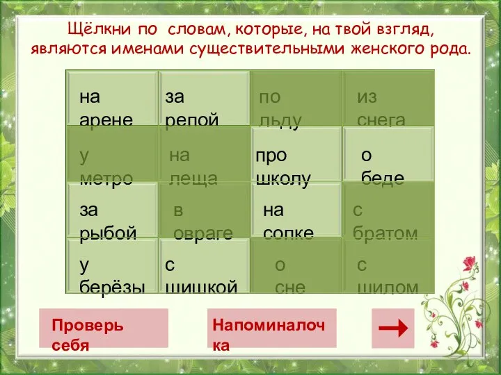 Щёлкни по словам, которые, на твой взгляд, являются именами существительными женского