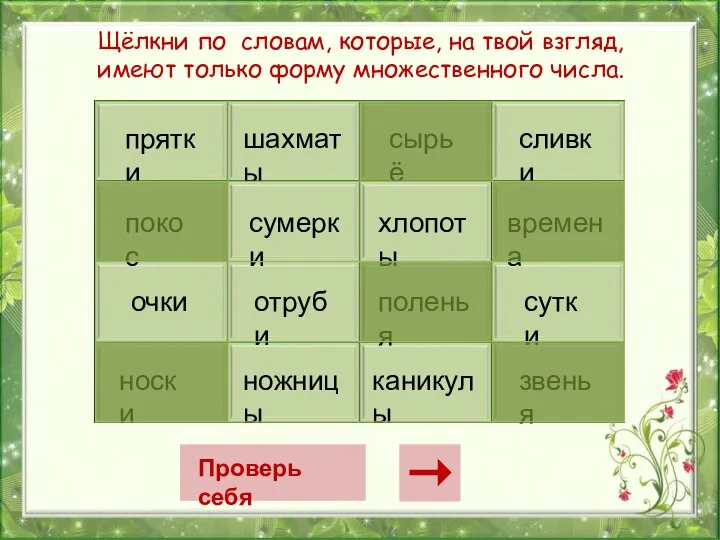 прятки покос очки носки шахматы сырьё сливки сумерки хлопоты времена отруби