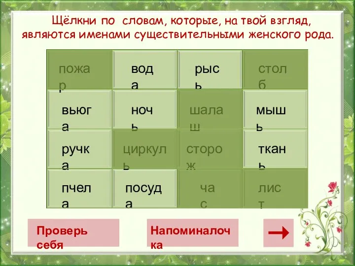 Щёлкни по словам, которые, на твой взгляд, являются именами существительными женского