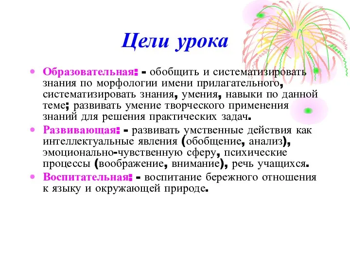 Цели урока Образовательная: - обобщить и систематизировать знания по морфологии имени