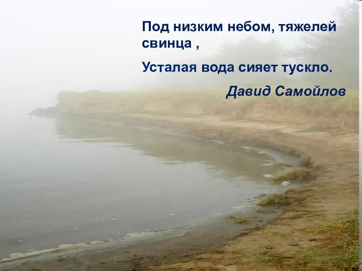 Под низким небом, тяжелей свинца , Усталая вода сияет тускло. Давид Самойлов