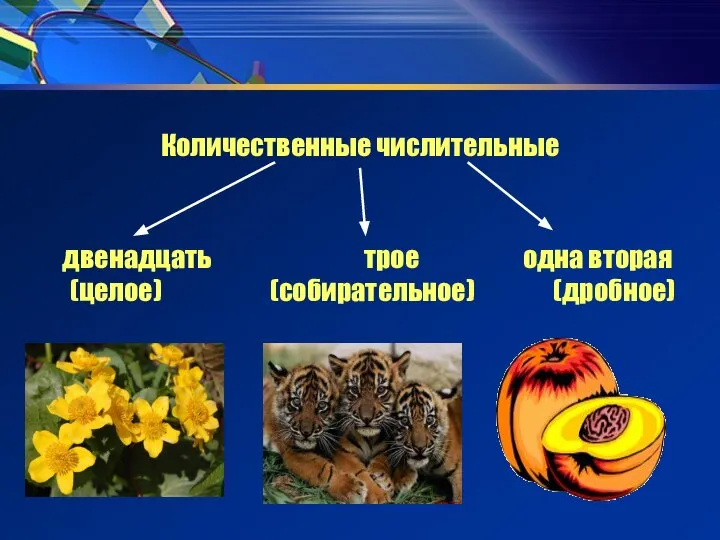 Количественные числительные двенадцать трое одна вторая (целое) (собирательное) (дробное)