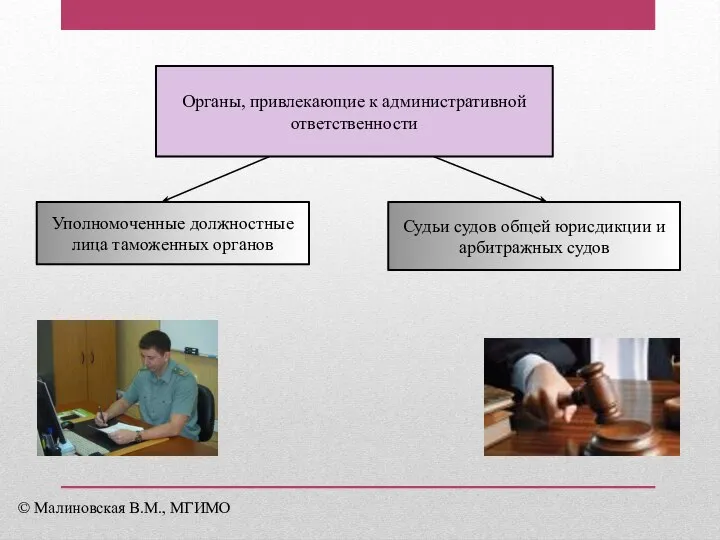 Органы, привлекающие к административной ответственности Уполномоченные должностные лица таможенных органов Судьи