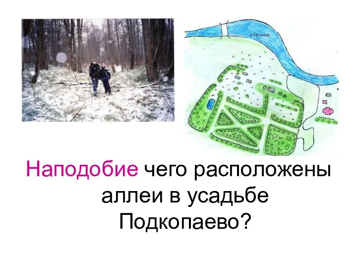 Наподобие чего расположены аллеи в усадьбе Подкопаево?