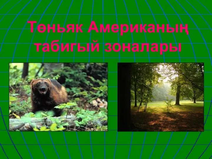 Төньяк Американың табигый зоналары