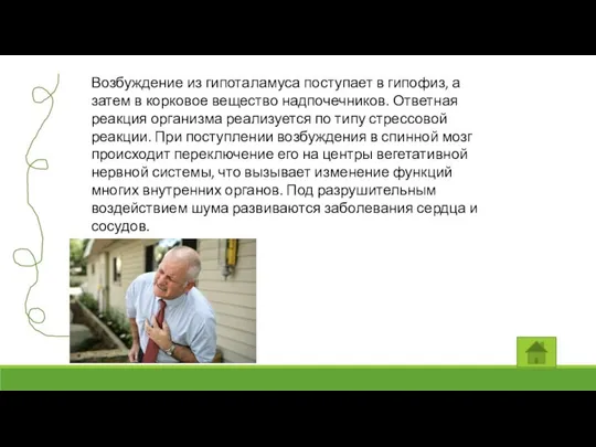 Возбуждение из гипоталамуса поступает в гипофиз, а затем в корковое вещество