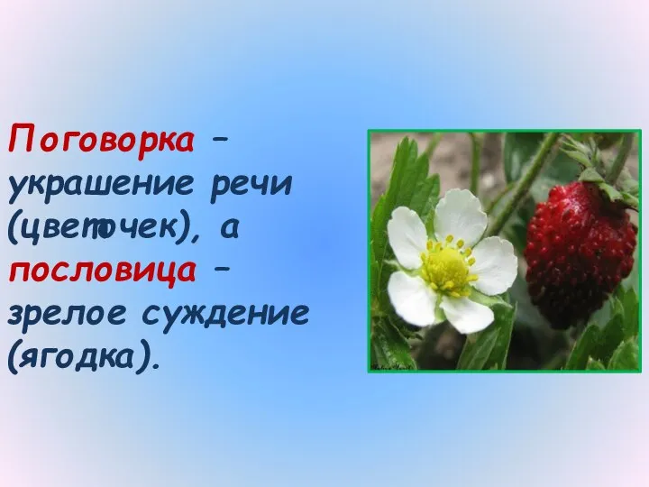 Поговорка – украшение речи (цветочек), а пословица – зрелое суждение (ягодка).