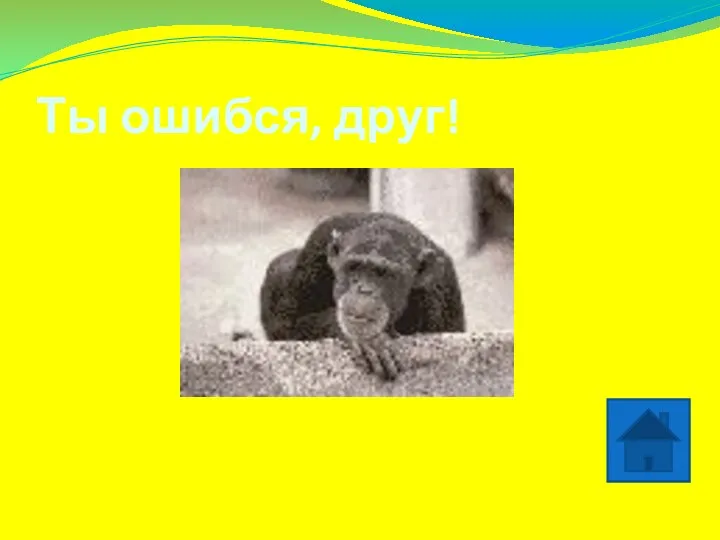 Ты ошибся, друг!