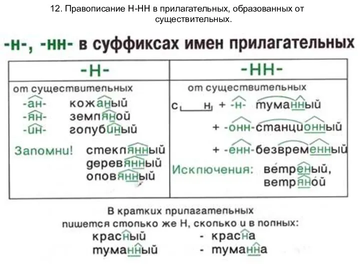 12. Правописание Н-НН в прилагательных, образованных от существительных.