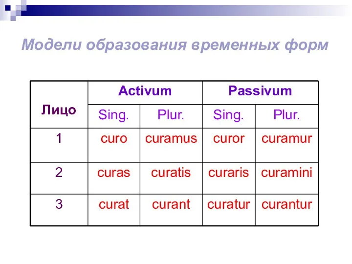 Модели образования временных форм