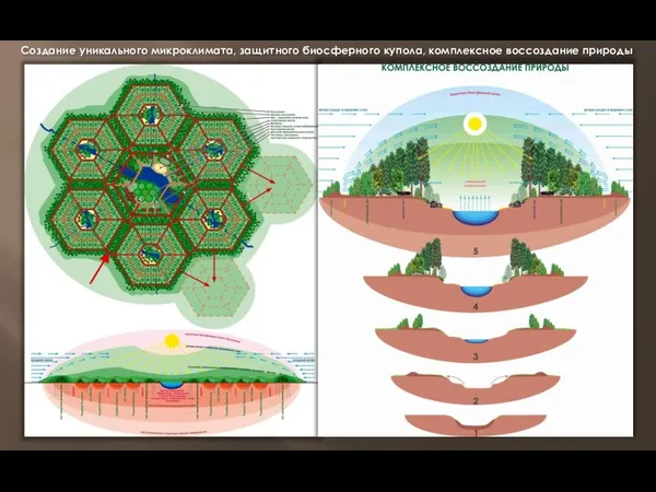 Создание уникального микроклимата, защитного биосферного купола, комплексное воссоздание природы