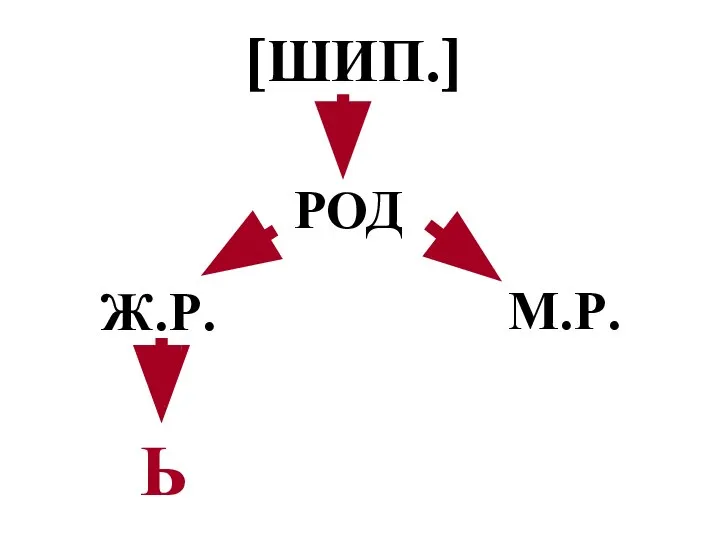 [ШИП.] РОД Ж.Р. М.Р. Ь