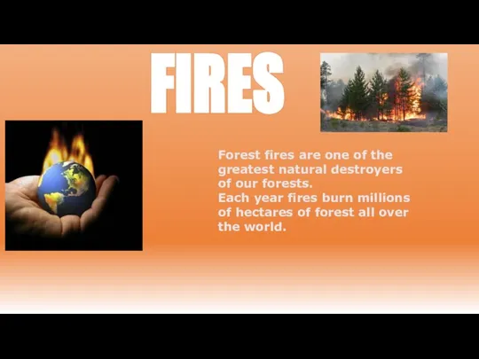 FIRES Forest fires are one of the greatest natural destroyers of