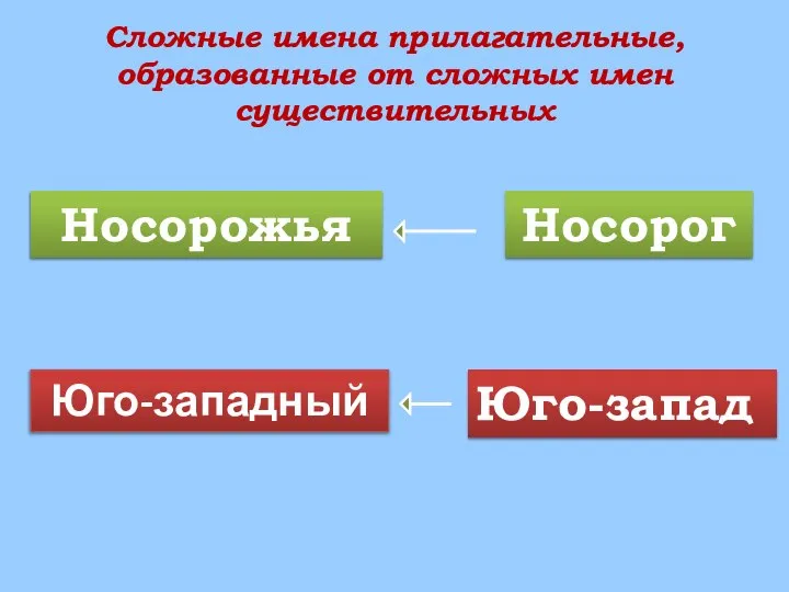 Сложные имена прилагательные, образованные от сложных имен существительных Носорожья Носорог Юго-западный Юго-запад