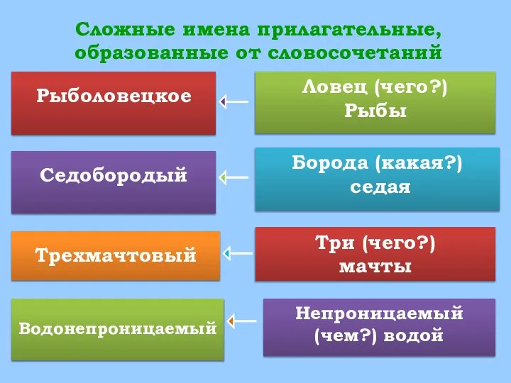 Сложные имена прилагательные, образованные от словосочетаний Рыболовецкое Седобородый Трехмачтовый Водонепроницаемый Ловец