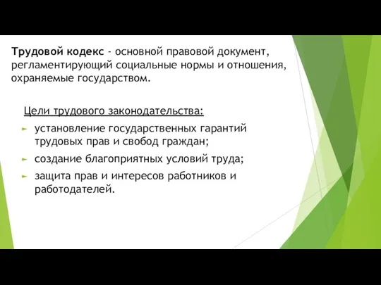 Трудовой кодекс - основной правовой документ, регламентирующий социальные нормы и отношения,