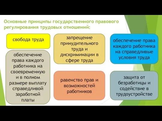 Основные принципы государственного правового регулирования трудовых отношений: свобода труда равенство прав