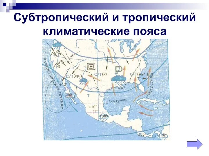 Субтропический и тропический климатические пояса