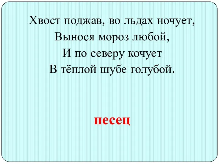 Хвост поджав, во льдах ночует, Вынося мороз любой, И по северу