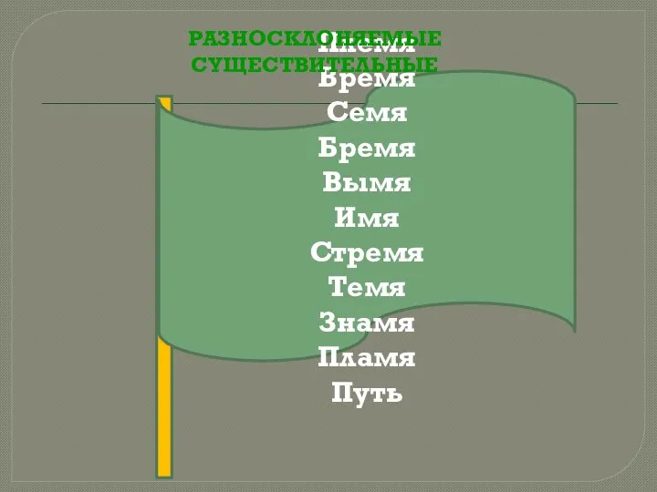 РАЗНОСКЛОНЯЕМЫЕ СУЩЕСТВИТЕЛЬНЫЕ