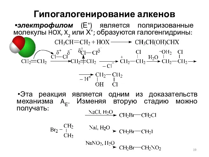 Гипогалогенирование алкенов электрофилом (Е+) является поляризованные молекулы HOX, X2 или Х+;