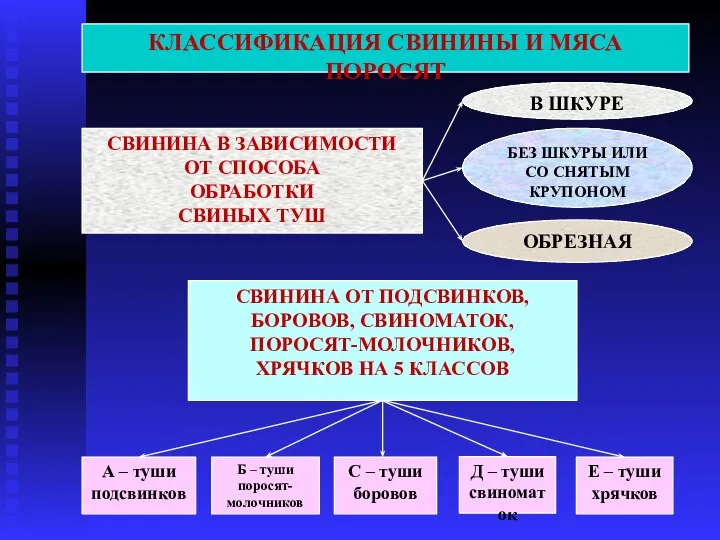 СВИНИНА В ЗАВИСИМОСТИ ОТ СПОСОБА ОБРАБОТКИ СВИНЫХ ТУШ СВИНИНА ОТ ПОДСВИНКОВ,