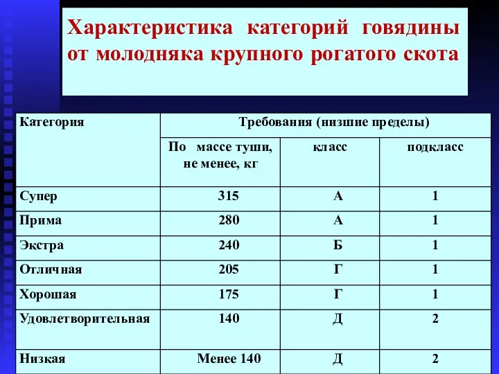 Характеристика категорий говядины от молодняка крупного рогатого скота