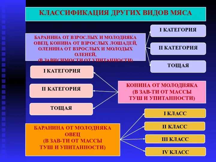 КЛАССИФИКАЦИЯ ДРУГИХ ВИДОВ МЯСА БАРАНИНА ОТ ВЗРОСЛЫХ И МОЛОДНЯКА ОВЕЦ, КОНИНА