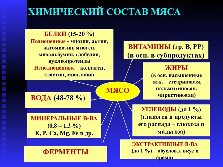 ХИМИЧЕСКИЙ СОСТАВ МЯСА МЯСО БЕЛКИ (15-20 %) Полноценные - миозин, актин,