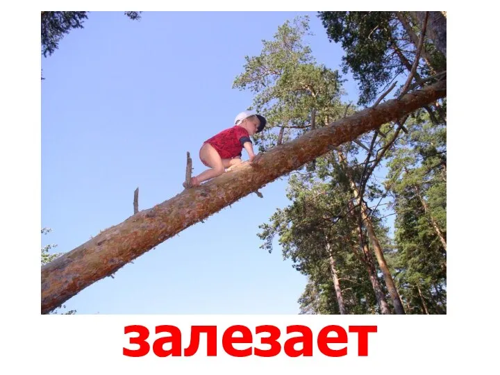 залезает