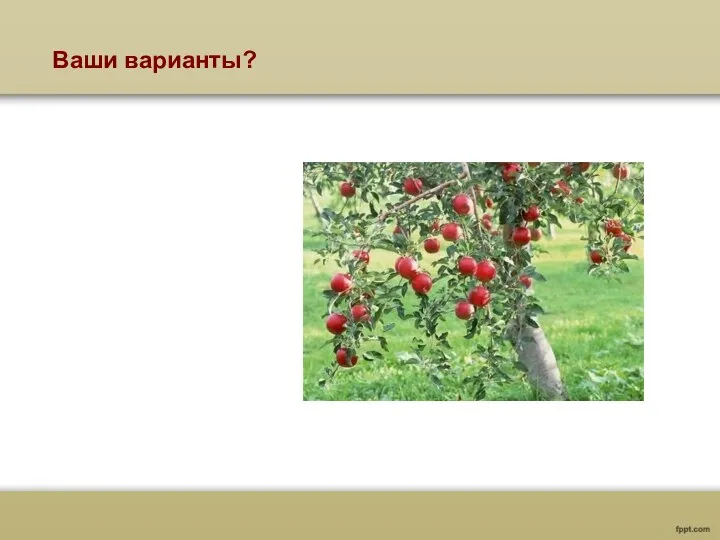 Ваши варианты?