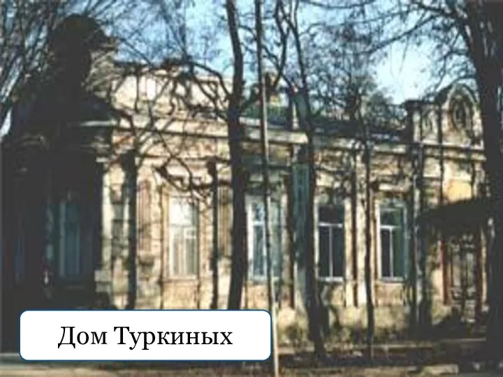 Дом Туркиных