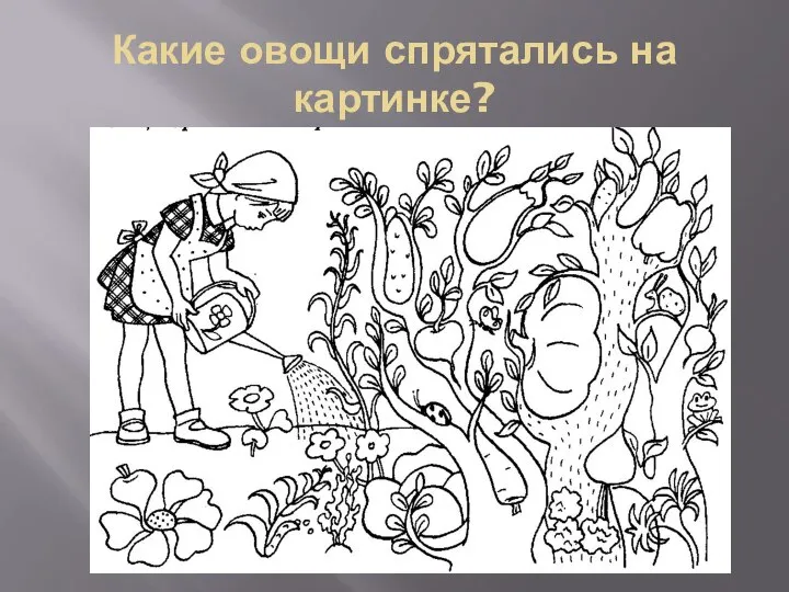 Какие овощи спрятались на картинке?