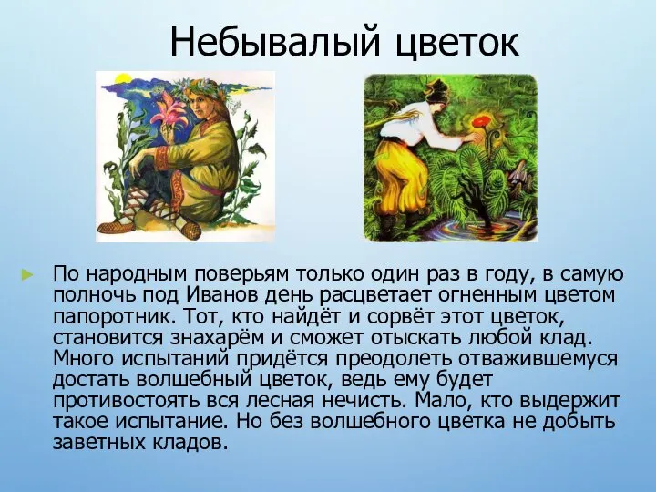 Небывалый цветок По народным поверьям только один раз в году, в