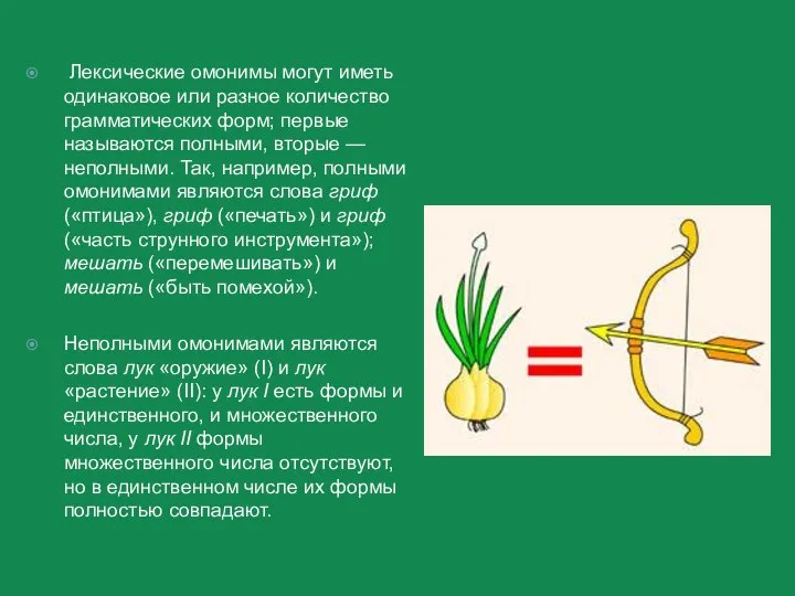 Лексические омонимы могут иметь одинаковое или разное количество грамматических форм; первые