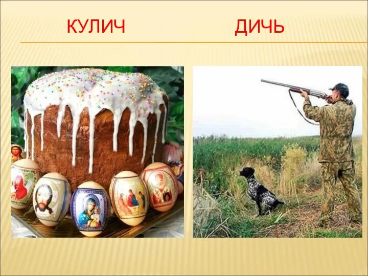 КУЛИЧ ДИЧЬ