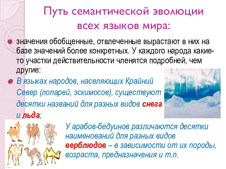 Путь семантической эволюции всех языков мира: значения обобщенные, отвлеченные вырастают в