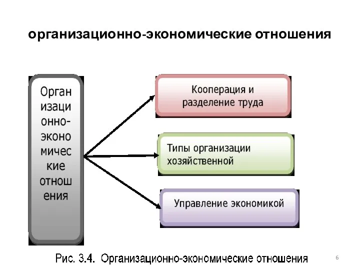 организационно-экономические отношения