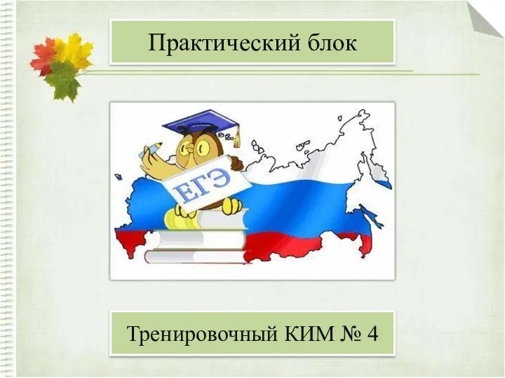 Практический блок Тренировочный КИМ № 4