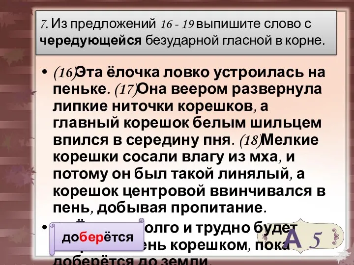 (16)Эта ёлочка ловко устроилась на пеньке. (17)Она веером развернула липкие ниточки