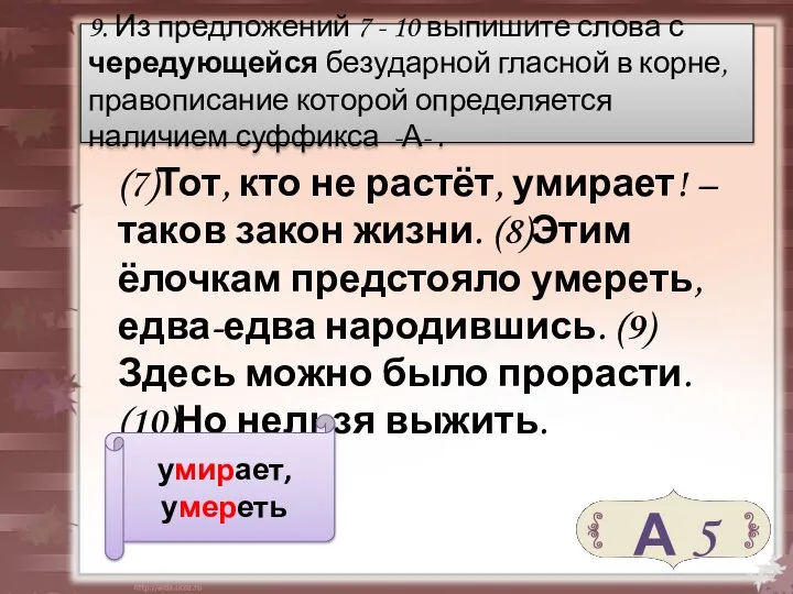 (7)Тот, кто не растёт, умирает! – таков закон жизни. (8)Этим ёлочкам