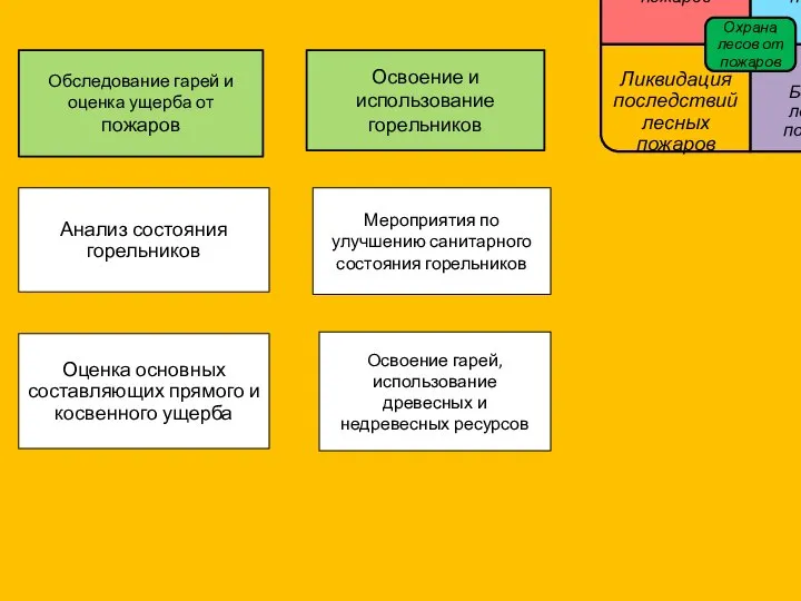 Обследование гарей и оценка ущерба от пожаров Освоение и использование горельников