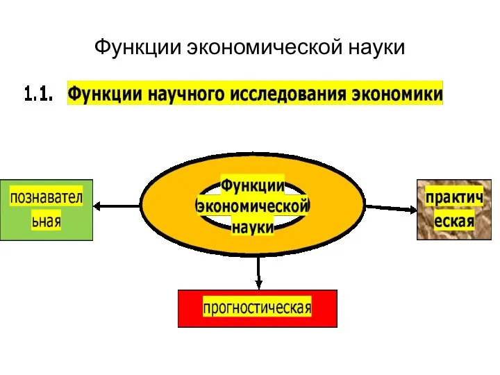 Функции экономической науки